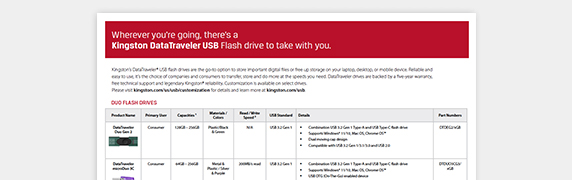 PDF OPENS IN A NEW WINDOW: Read Kingston DataTraveler flyer