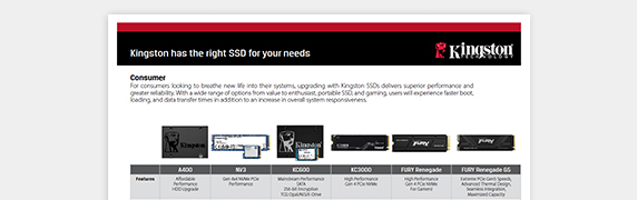 PDF OPENS IN A NEW WINDOW: Read Kingston SSD flyer